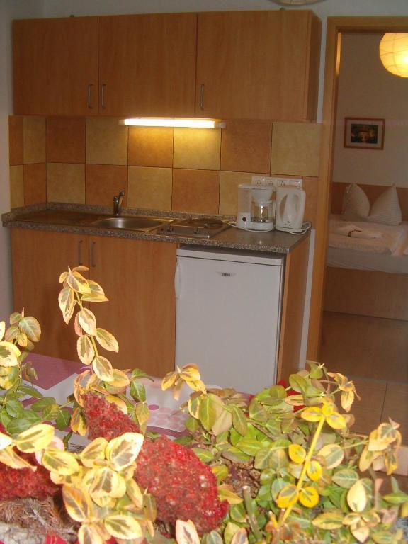 Apartman Nora Buk Room photo